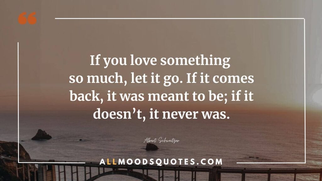 If you love something so much, let it go. If it comes back, it was meant to be; if it doesn’t, it never was.” — Albert Schweitzer