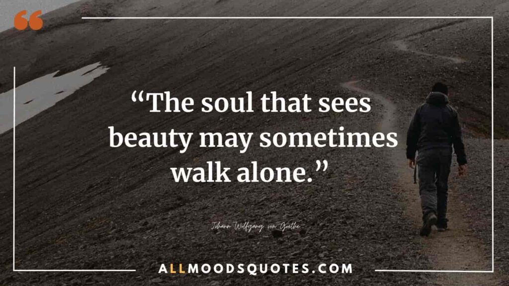 “The soul that sees beauty may sometimes walk alone.” ― Johann Wolfgang von Goethe