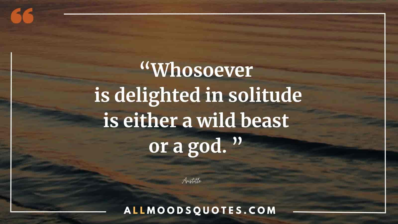 Whosoever is delighted in solitude is either a wild beast or a god. 
Aristotle