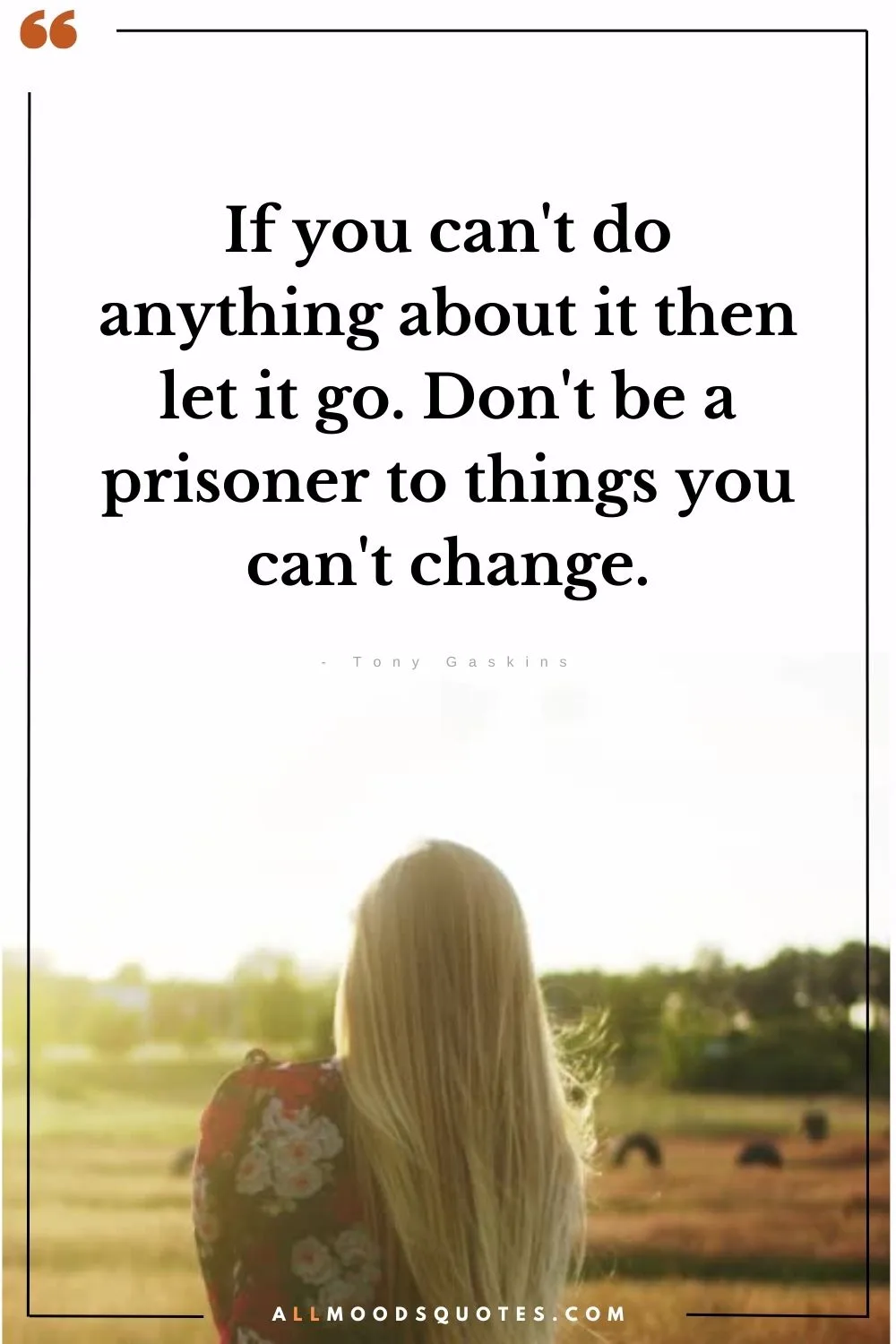 If You Can'T Do Anything About It Then Let It Go - Quotes